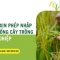 Tư vấn xin phép nhập khẩu giống cây trồng nôn nghiệp