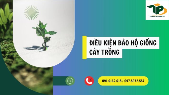 Điều kiện bảo hộ giống cây trồng