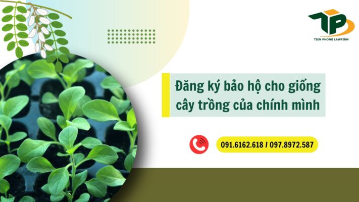 Đăng ký bảo hộ cho giống cây trồng của mình