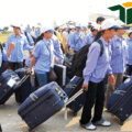Quy định mới nhất về việc đưa người lao động đi làm việc ở nước ngoài