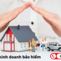 Pháp luật quy định như thế nào về hình thức kinh doanh bảo hiểm