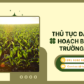 Thủ tục đăng ký kế hoạch bảo vệ môi trường mới nhất