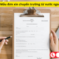 Mẫu đơn xin chuyển trường từ nước ngoài về Việt Nam